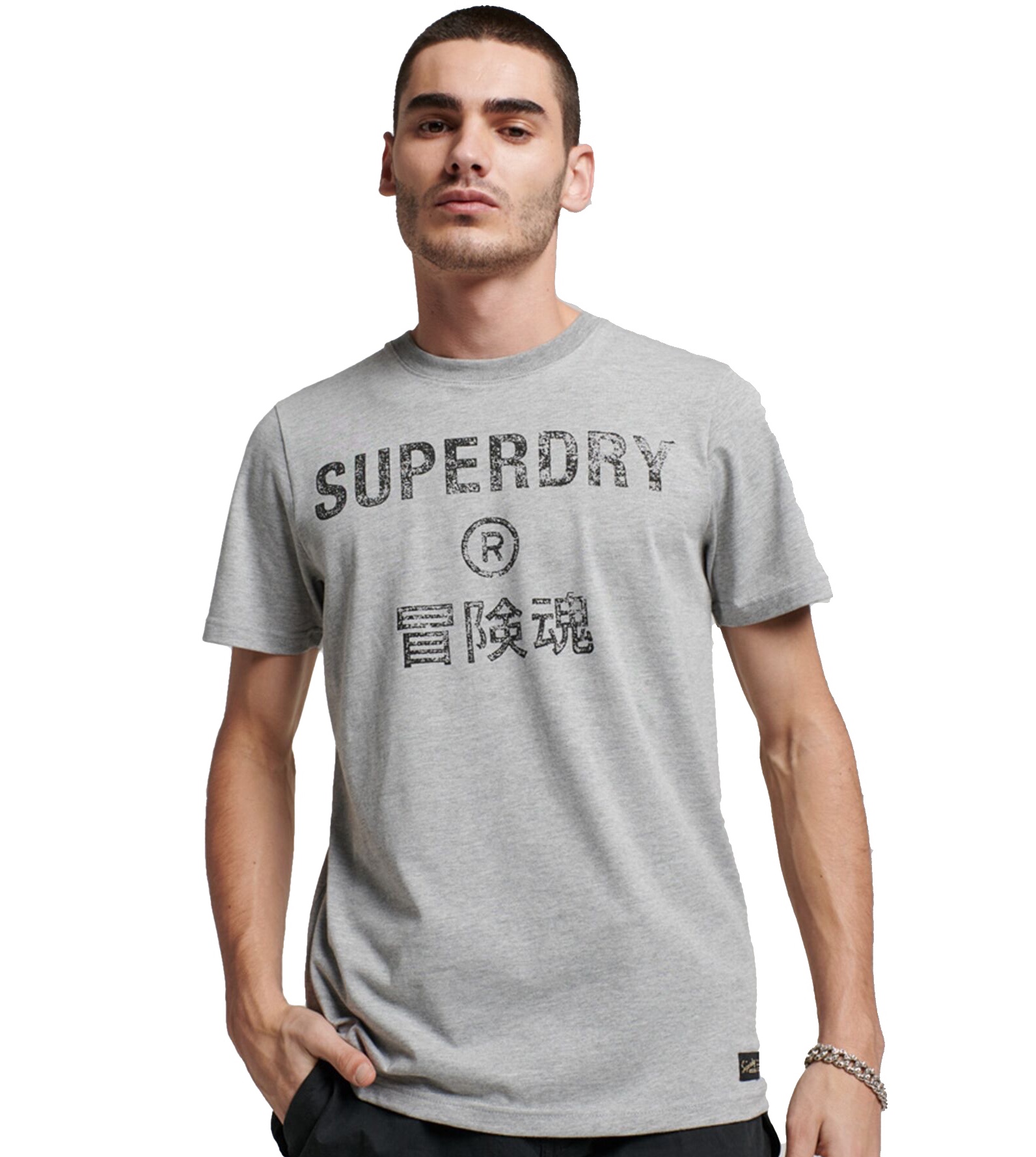 SURPERDRY Tシャツ グレー M