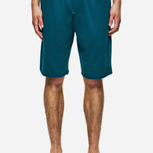 DIRTY LAUNDRY BERMUDA EMBROIDERY RELAXED FIT TEAL ΒΕΡΜΟΥΔΑ ΑΝΔΡΑΣ ΠΡΑΣΙΝΟ